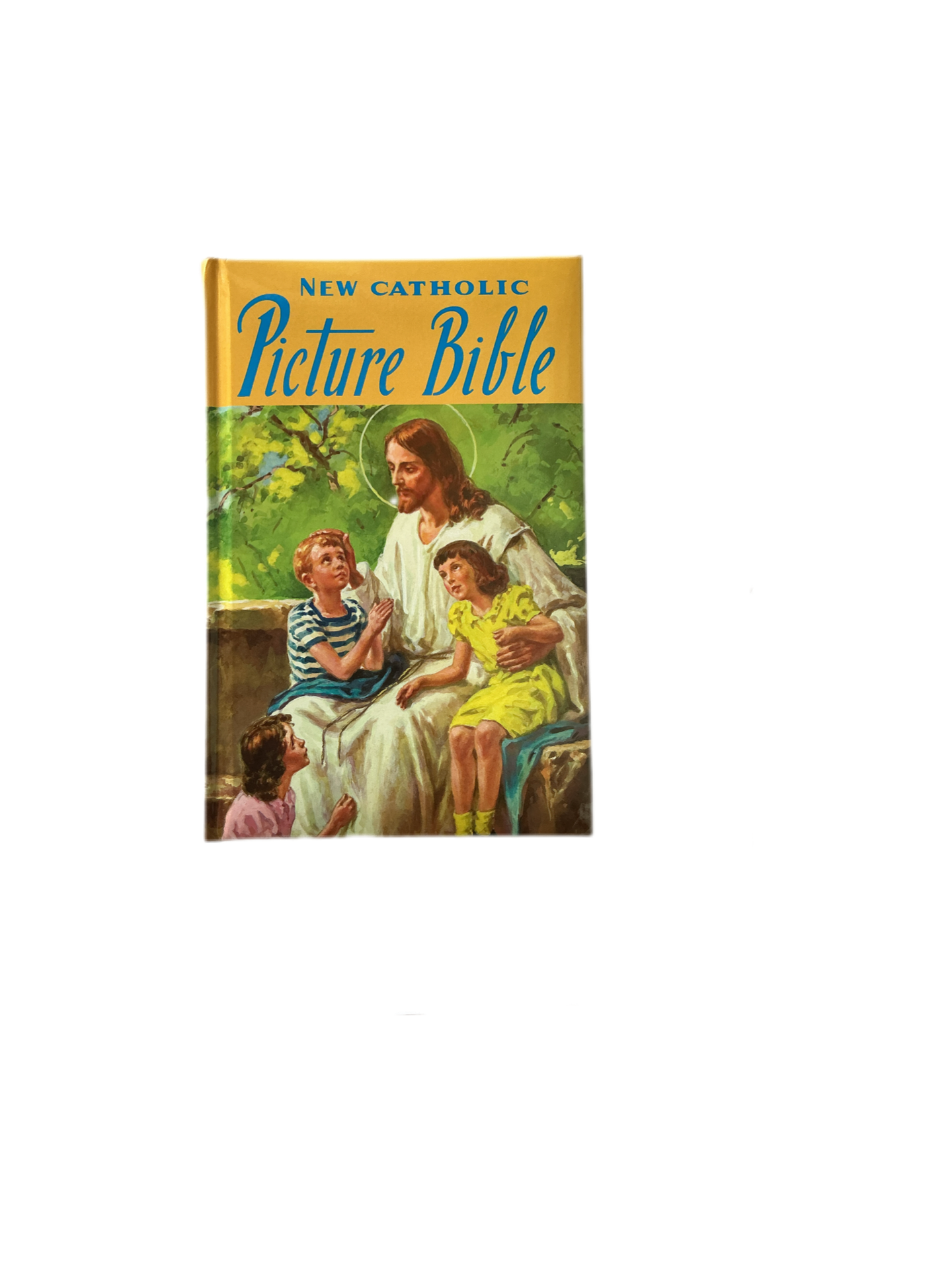 New Catholic Picture Bible