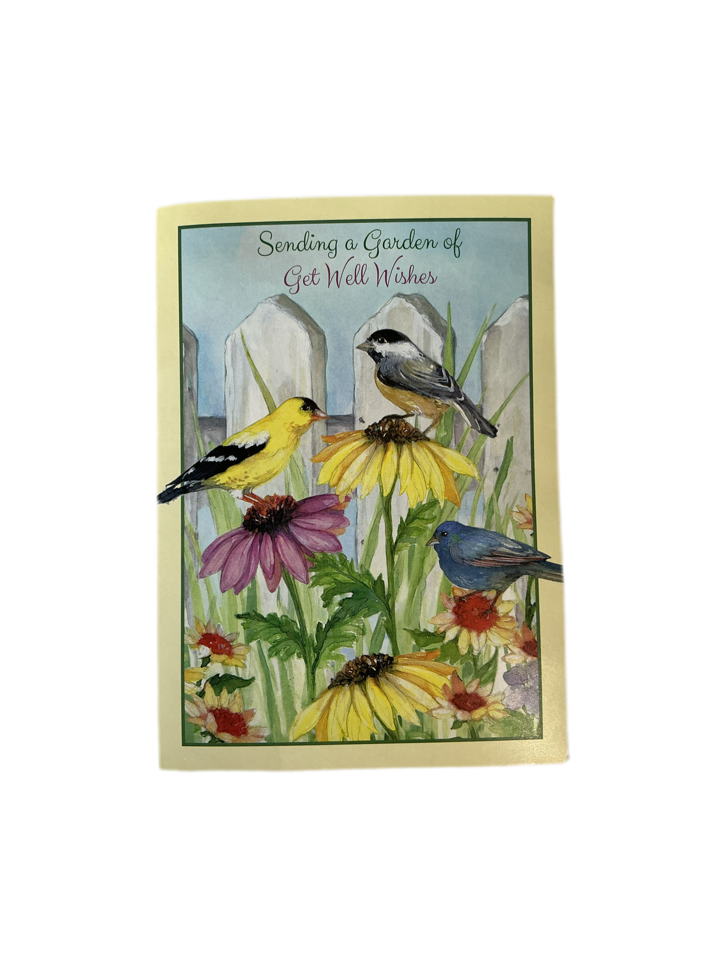 Sending a Garden of get well wishes