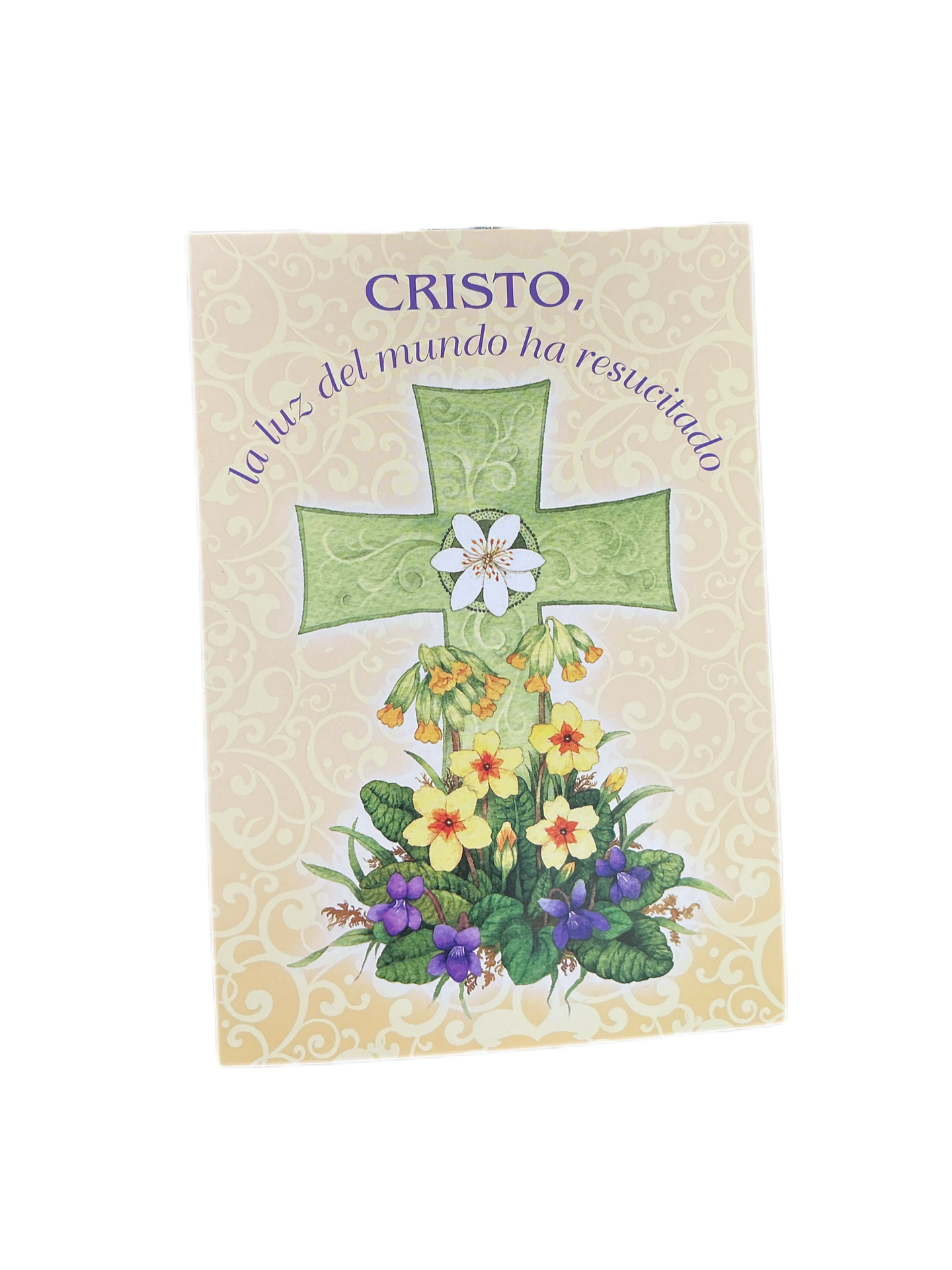 Cristo la luz del mundo ha resucitado