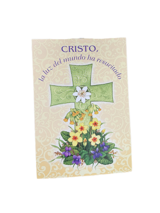 Cristo la luz del mundo ha resucitado