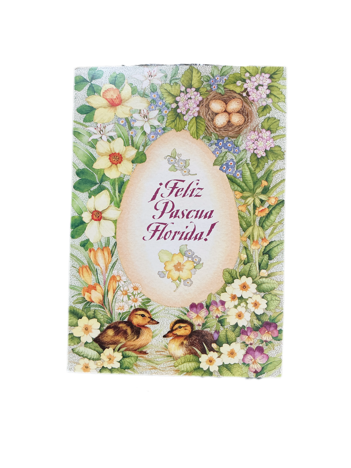¡Feliz Pascua Florida!