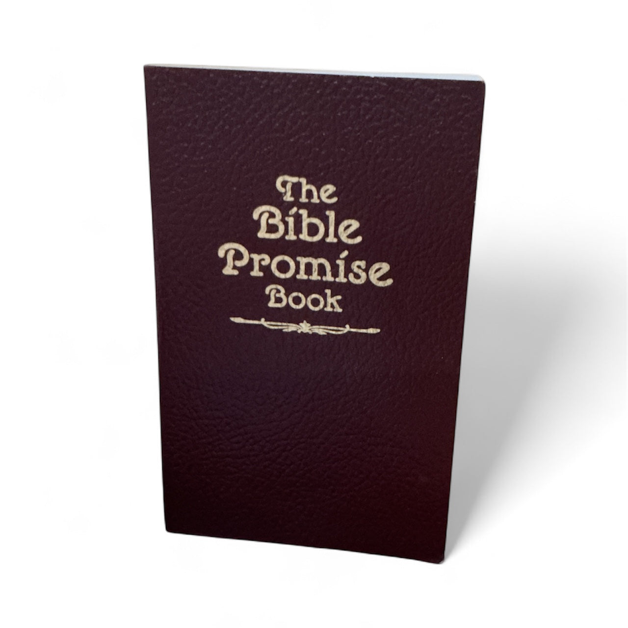 The Bible Promise Book