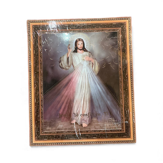 Picture 20x25"H - Divina Misericordia