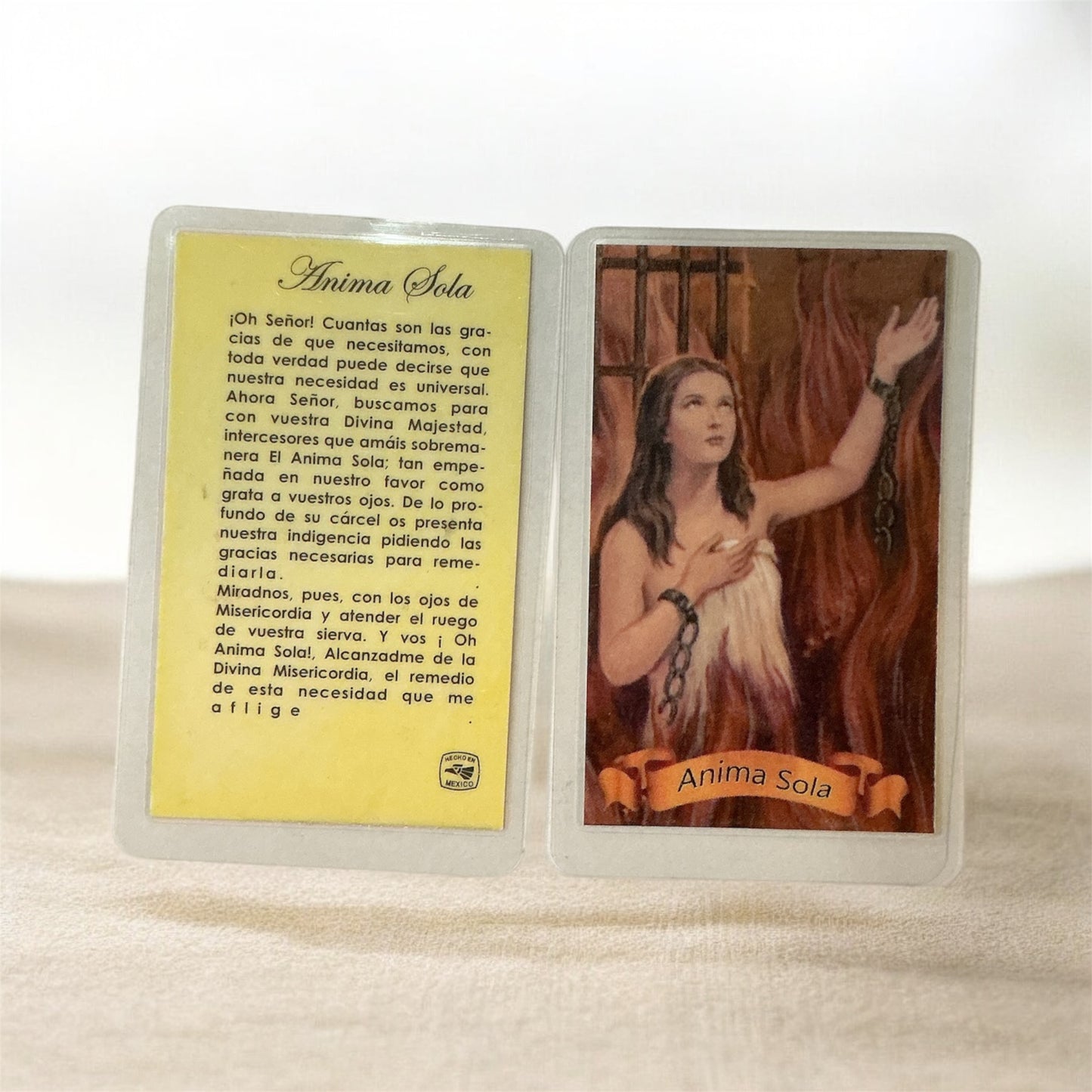 Oración Animal Sola