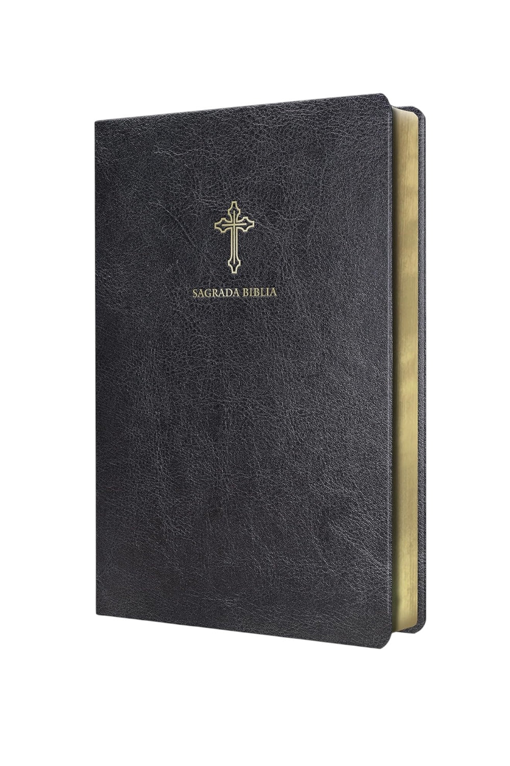 Catholic Bible. Spanish-Language, Leathersoft, Black, Compact (Spanish Edition)